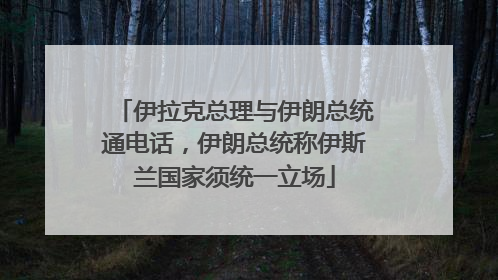 伊拉克总理与伊朗总统通电话，伊朗总统称伊斯兰国家须统一立场