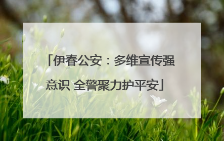 伊春公安：多维宣传强意识 全警聚力护平安
