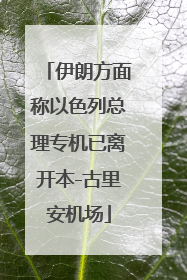 伊朗方面称以色列总理专机已离开本-古里安机场