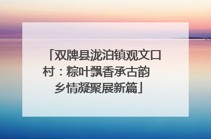 双牌县泷泊镇观文口村：粽叶飘香承古韵 乡情凝聚展新篇