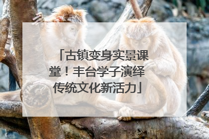 古镇变身实景课堂！丰台学子演绎传统文化新活力