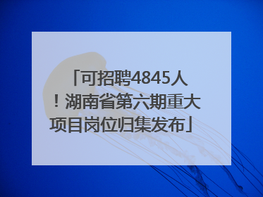 可招聘4845人！湖南省第六期重大项目岗位归集发布