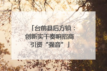 台前县后方镇：创新实干奏响招商引资“强音”