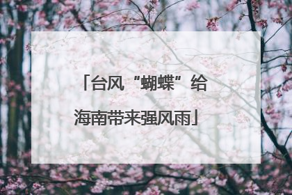 台风“蝴蝶”给海南带来强风雨