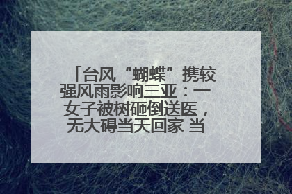 台风“蝴蝶”携较强风雨影响三亚：一女子被树砸倒送医，无大碍当天回家 当地已紧急清障