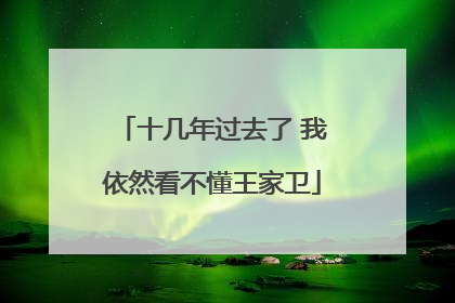 十几年过去了 我依然看不懂王家卫