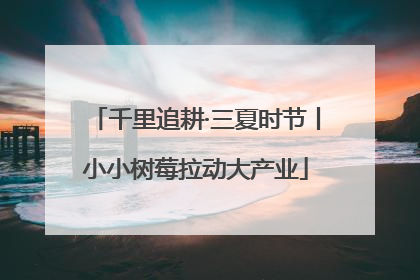 千里追耕·三夏时节丨小小树莓拉动大产业