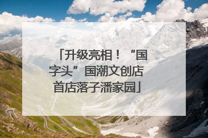 升级亮相！“国字头”国潮文创店首店落子潘家园
