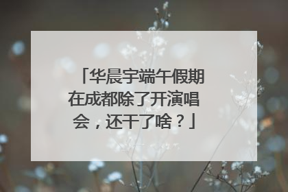 华晨宇端午假期在成都除了开演唱会，还干了啥？