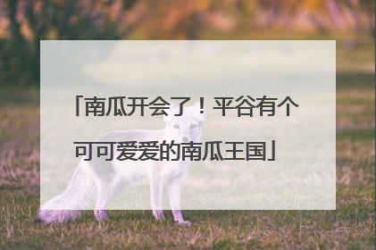 南瓜开会了！平谷有个可可爱爱的南瓜王国
