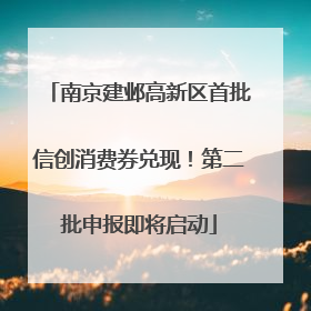 南京建邺高新区首批信创消费券兑现！第二批申报即将启动