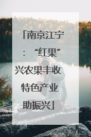 南京江宁：“红果”兴农果丰收 特色产业助振兴