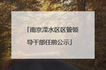 南京溧水区区管领导干部任前公示