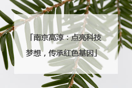 南京高淳：点亮科技梦想，传承红色基因