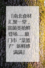 南北食材汇聚一堂，富菌类抢鲜登场……厦门市“菜篮子”新鲜感满满