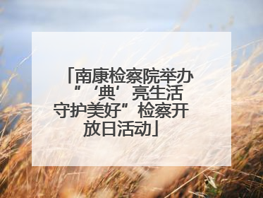 南康检察院举办“‘典’亮生活 守护美好”检察开放日活动