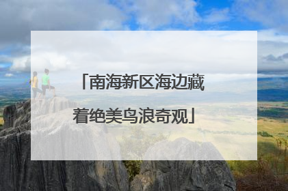 南海新区海边藏着绝美鸟浪奇观