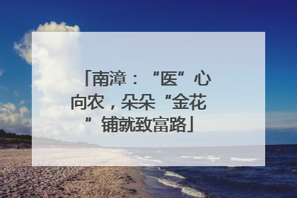 南漳：“医”心向农，朵朵“金花”铺就致富路