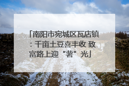 南阳市宛城区瓦店镇：千亩土豆喜丰收 致富路上迎“薯”光