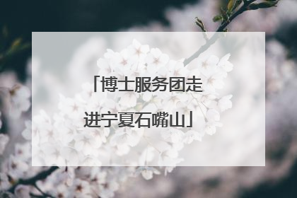 博士服务团走进宁夏石嘴山