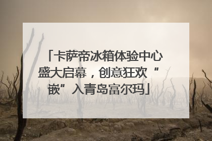 卡萨帝冰箱体验中心盛大启幕，创意狂欢“嵌”入青岛富尔玛