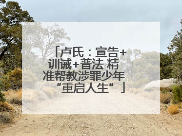 卢氏：宣告+训诫+普法 精准帮教涉罪少年“重启人生”