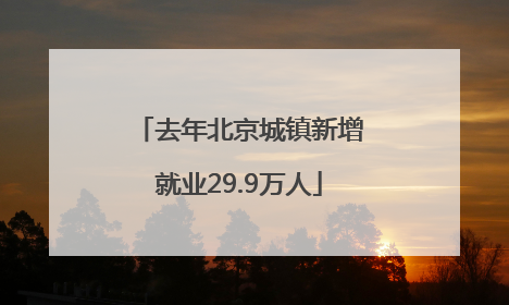 去年北京城镇新增就业29.9万人