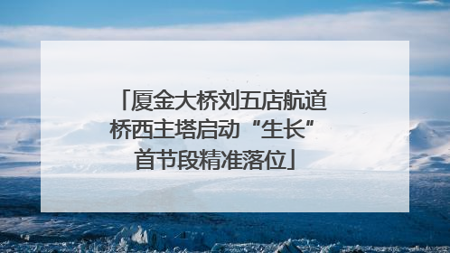 厦金大桥刘五店航道桥西主塔启动“生长” 首节段精准落位
