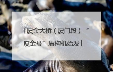 厦金大桥（厦门段）“厦金号”盾构机始发
