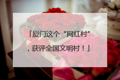 厦门这个“网红村”，获评全国文明村！