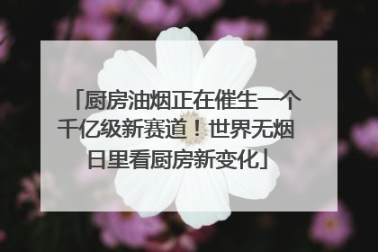 厨房油烟正在催生一个千亿级新赛道！世界无烟日里看厨房新变化