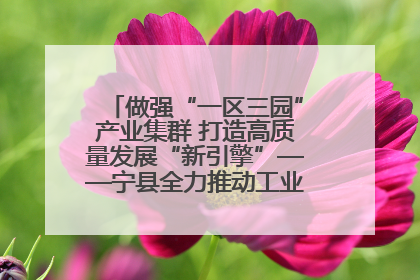 做强“一区三园”产业集群 打造高质量发展“新引擎”——宁县全力推动工业经济提质增效