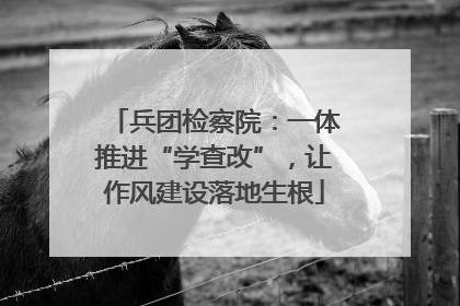 兵团检察院：一体推进“学查改”，让作风建设落地生根