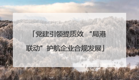 党建引领提质效 “局港联动”护航企业合规发展
