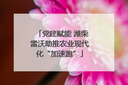 党建赋能 潍柴雷沃助推农业现代化“加速跑”