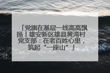 党旗在基层一线高高飘扬丨雄安新区雄县黄湾村党支部：在老百姓心里，筑起“一座山”