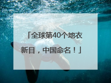 全球第40个地衣新目，中国命名！