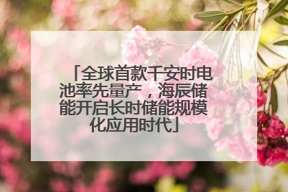 全球首款千安时电池率先量产，海辰储能开启长时储能规模化应用时代