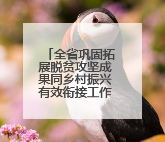 全省巩固拓展脱贫攻坚成果同乡村振兴有效衔接工作会议强调：长久守牢不发生规模性返贫致贫底线 王宁出席并讲话 王予波主持