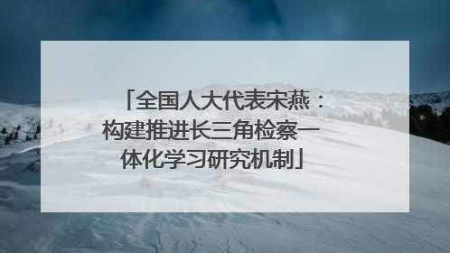 全国人大代表宋燕：构建推进长三角检察一体化学习研究机制