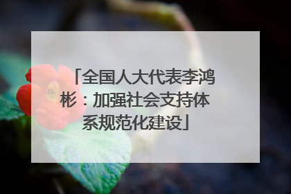 全国人大代表李鸿彬：加强社会支持体系规范化建设