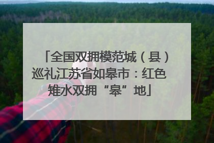 全国双拥模范城（县）巡礼江苏省如皋市：红色雉水双拥“皋”地