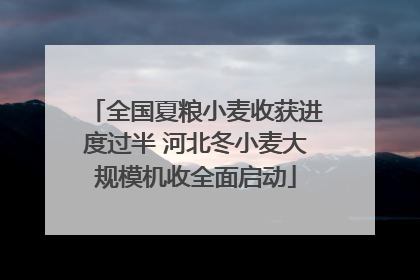 全国夏粮小麦收获进度过半 河北冬小麦大规模机收全面启动