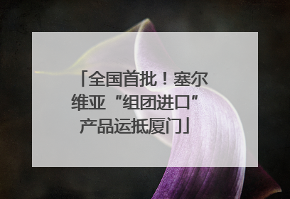 全国首批！塞尔维亚“组团进口”产品运抵厦门