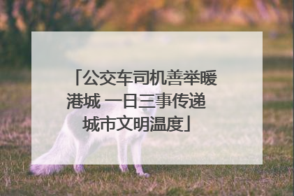 公交车司机善举暖港城 一日三事传递城市文明温度
