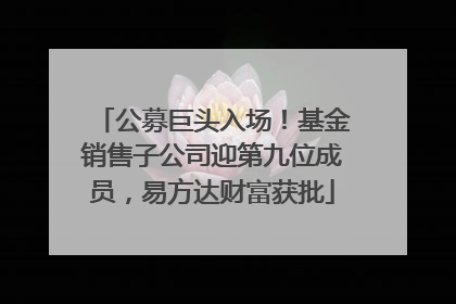 公募巨头入场！基金销售子公司迎第九位成员，易方达财富获批