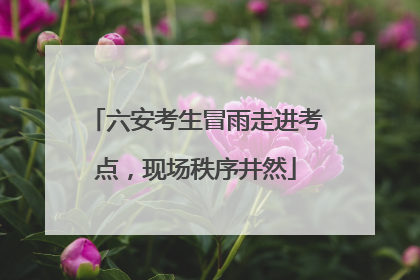 六安考生冒雨走进考点，现场秩序井然