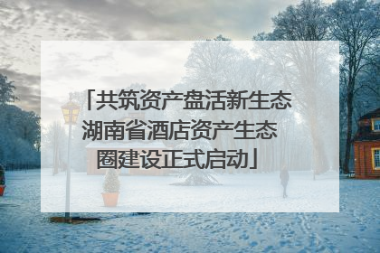 共筑资产盘活新生态 湖南省酒店资产生态圈建设正式启动