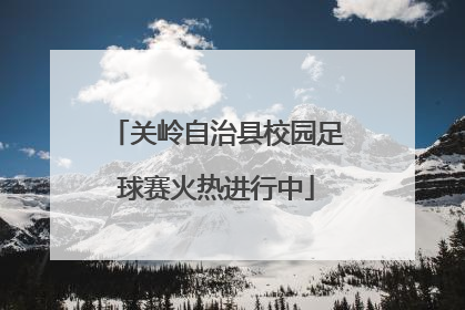 关岭自治县校园足球赛火热进行中