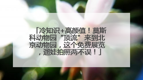 冷知识+高颜值！莫斯科动物园“顶流”来到北京动物园，这个免费展览，遛娃拍照两不误！